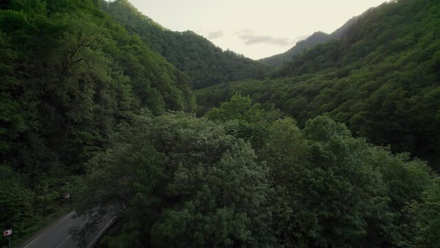 green road in mountains, forest from bird view, road, mountains