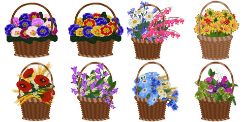 Set of wicker baskets with many different flowers. Poppy, bluebells, daisy, cornflowers, primrose, cosmos. Bright  summer colors. Vector illustration