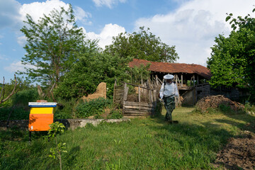 The beekeeper mowed tall grass in the village yard with a hand lawnmower on a spring day. Farmer wears protective clothing while working