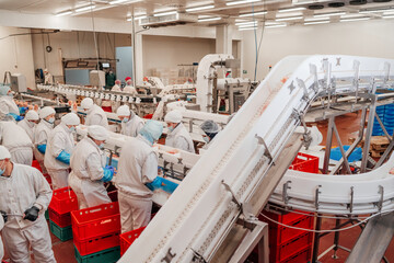 Meat processing plant.People working at a chicken factory - stock photo.Automated production line in modern food factory. © Nataliia
