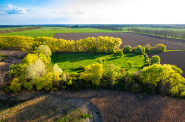 Fototapeta premium Aerial view to spring green fields and meadows