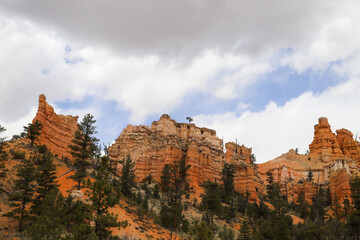 Naklejka premium Hoodoos