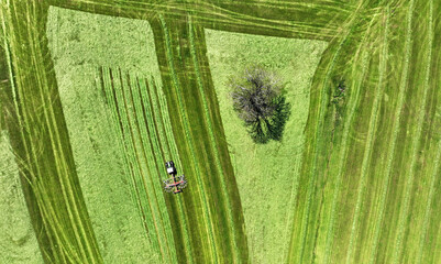 Luftaufnahme mit einer Drohne von einem Traktor bei der Heuernte auf einer Wiese mit Baum in Bayern