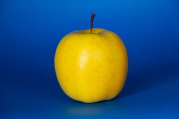 Yellow apple variety Golden on a blue background side view