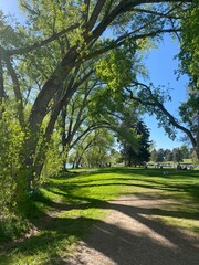 path in the park