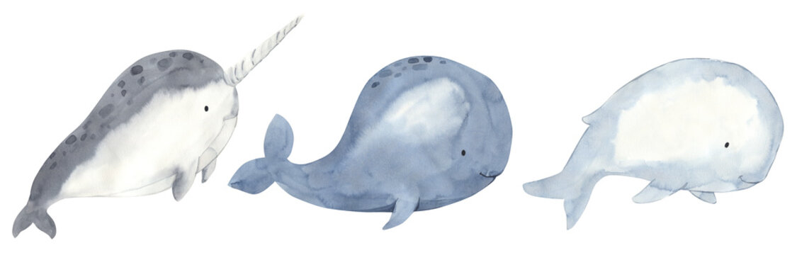 Watercolor whales illustration for kids