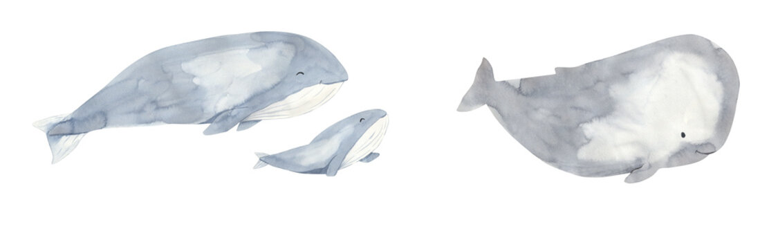 Watercolor whales mother and baby illustration for kids