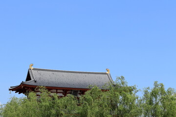 奈良　平城京