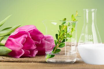 Obraz na płótnie Canvas Flower and green leaf in chemical glass.