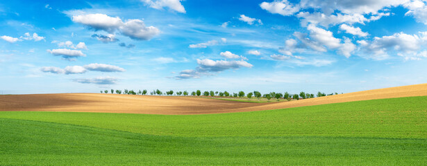 Beautiful summer day over green fields against blue cloudy sky