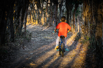 Obraz premium child riding a bicycle