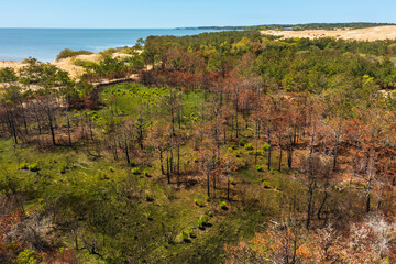 OBX