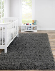 Modern living area room with rug sofa 