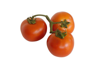 Tomatoes on a white background.