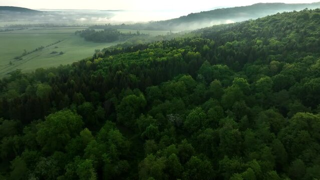 Landscape above forest misty morning Aerial shot foggy valley sky with clouds