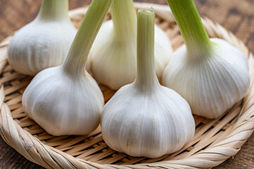 にんにく　ニンニク