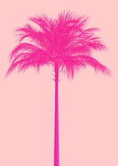 3D Pink palm tree © AnnaPa