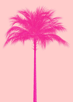 3D Pink palm tree