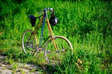 Fototapeta na wymiar pedersen bicycle with funny colorful painting nearby a meadow