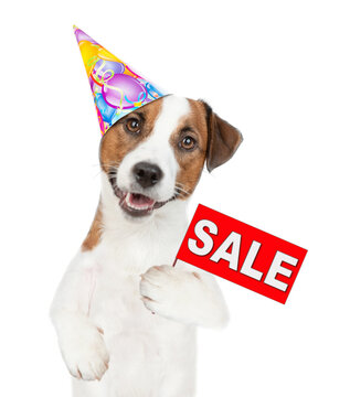Jack russell terrier puppy  wearing a party cap shows sales symbol. isolated on white background
