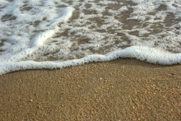 sand and sea