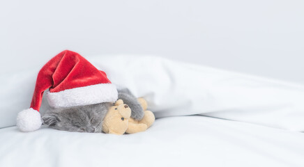 Funny kitten wearing red santa's hat sleeps under white blanket and hugs favorite toy bear. Empty space for text