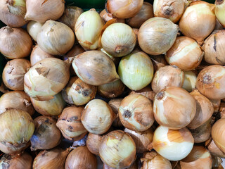Close up of pile of dirty and unpeeled onions on display of a stall at supermarket in Asia. Herbs and spices. Cooking ingredient.