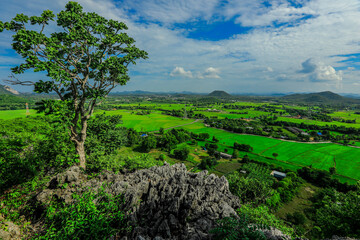 The close-up natural background of green rice fields, behind a large mountain and mist flowing...