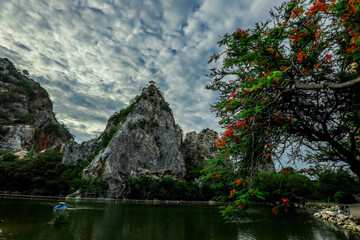 The close-up natural background of green rice fields, behind a large mountain and mist flowing...