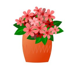 Flowering Indoor plants and flowers. In ceramic pots. Homemade beautiful herbs. Isolated on white background. Cartoon fun style. Vector