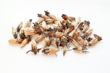 Heap of marigold seeds on white background.