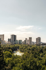Fototapeta premium Woods and skyline view of Mexico City, cityscape in daylight at the sunset, background for business or travel concept