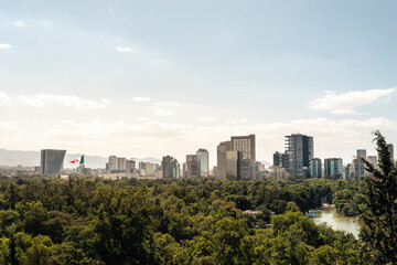 Fototapeta na wymiar Woods and skyline view of Mexico City, cityscape in daylight at the sunset, background for business or travel concept