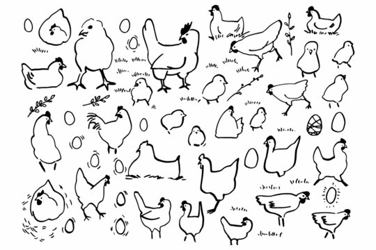 Set of cute chicken hen doodle drawing for yours design and print.