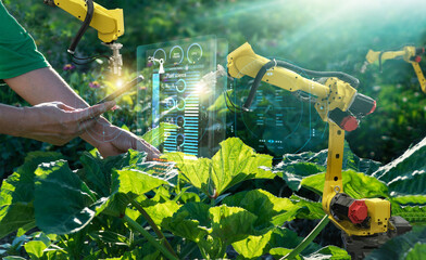 AI. Farmer use smartphone and robotics assistant. Pollinate of fruits and vegetables. Detection...