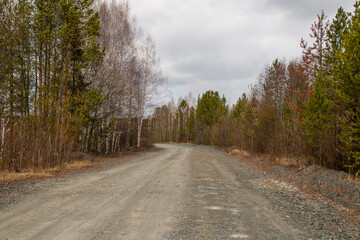 Dirt road in the forest in the Urals. A rocky primer stretches through the forest in the Sverdlovsk region.