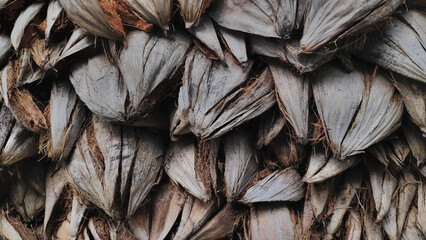 Coconut Brown Husk Hairy - Coconut Coir background.