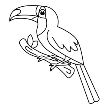 recommend clip art: Cute hornbill cartoon coloring page illustration vector. For kids coloring book.