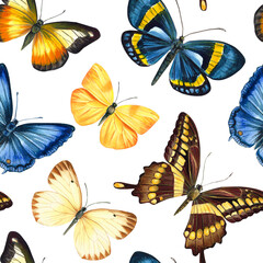 Tropical butterflies. Watercolor seamless pattern. Design for fashion, fabric, textile