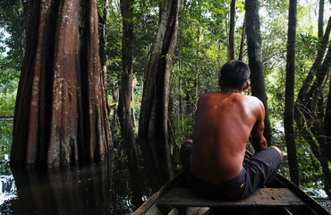 Caboclo man riding a canoe in an amazon rainforest mangrove near Belém, Pará, Brazil.