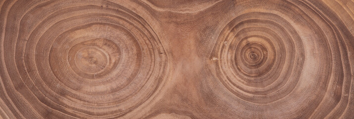 texture of brown wooden background with annual rings