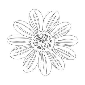 Chamomile flower with a black outline on a white background for coloring. One open flower bud. 