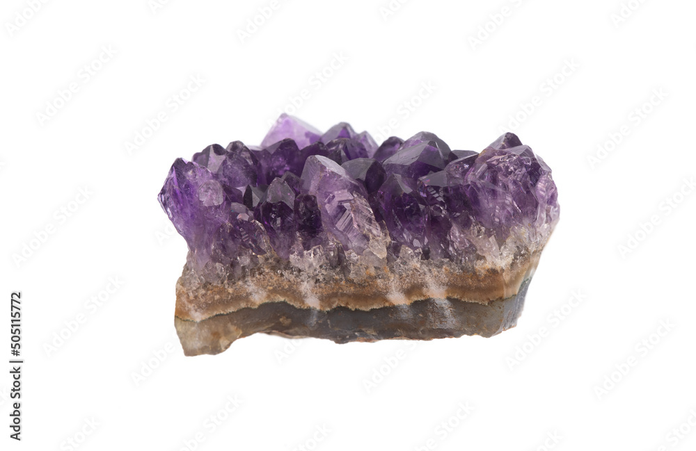 Canvas Prints purple amethyst crystals isolated on white background