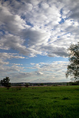 Fototapeta na wymiar Landscape with trees and a green meadow against a very cloudy sky 