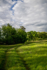 Spring landscape in a meadow with trees and cumulus clouds
