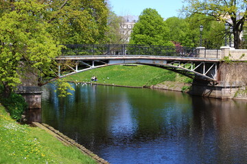 Fototapeta premium bridge in the park
