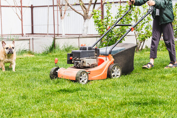 Fototapeta premium Lawn mover on green grass in sunny day. Lawn mover on green grass in modern garden. Machine for cutting lawns.