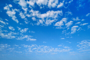 Naklejka na ściany i meble Summer sky. White clouds in the blue sky. Heaven and infinity. Beautiful bright blue background. Light cloudy, good weather. Curly clouds on a sunny day