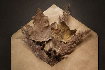 Autumn dry herbarium leaves in craft envelope