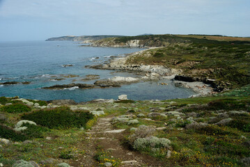Fototapeta na wymiar La costa della Nurra in località Tanca della Marina